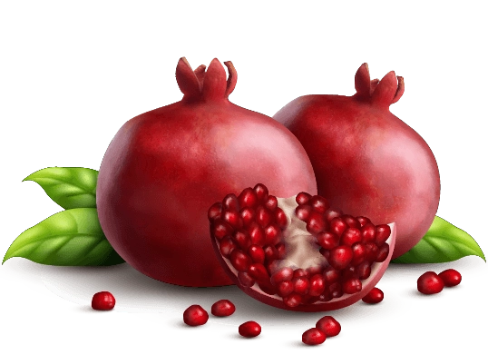 yalda