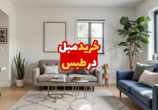 مبل در طبس